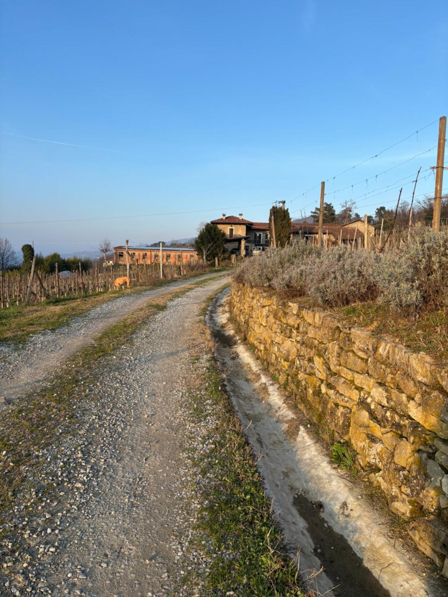 Agriturismo Tenuta San Giuseppe Cossano Belbo Ngoại thất bức ảnh
