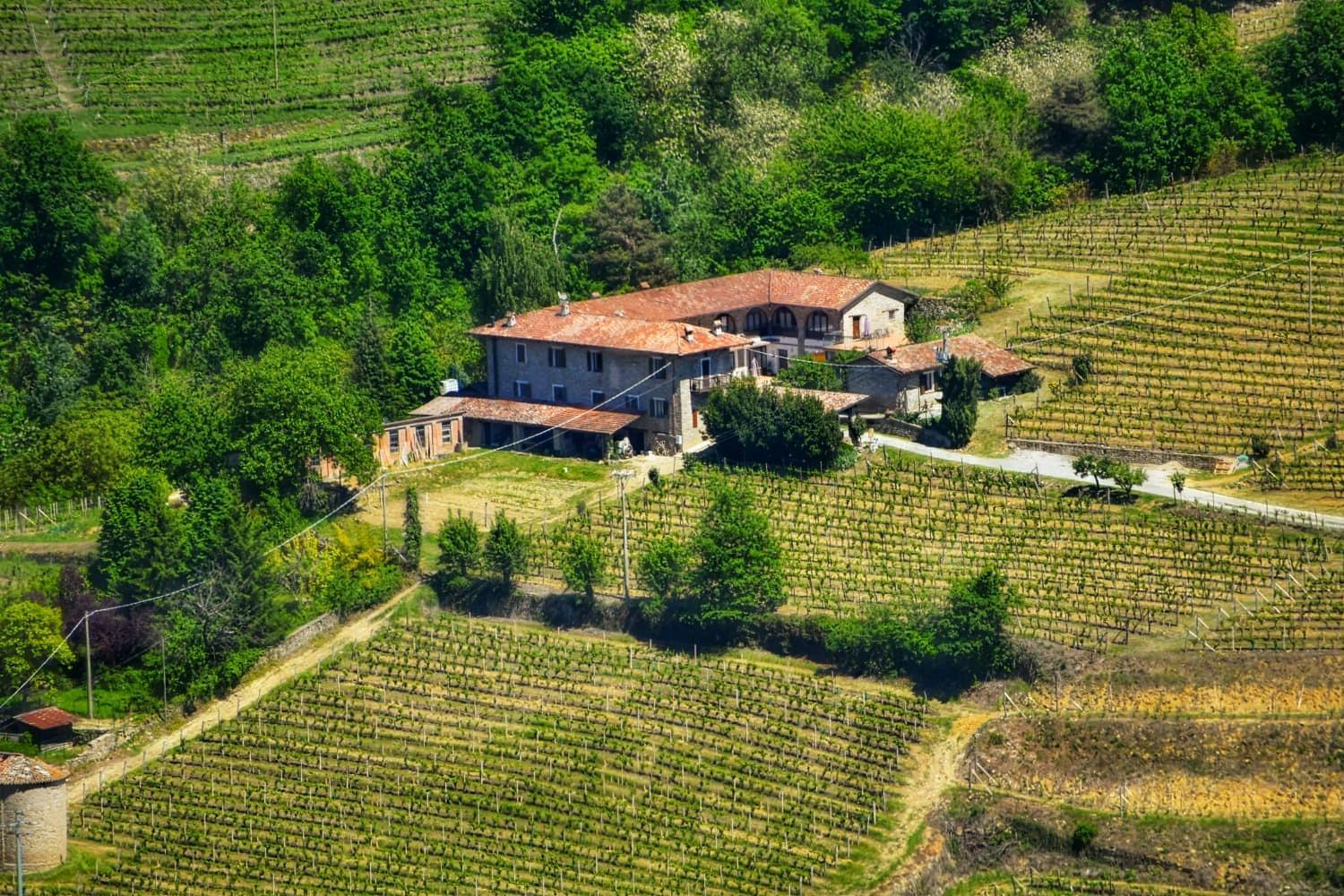 Agriturismo Tenuta San Giuseppe Cossano Belbo Ngoại thất bức ảnh