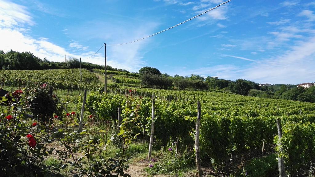 Agriturismo Tenuta San Giuseppe Cossano Belbo Ngoại thất bức ảnh